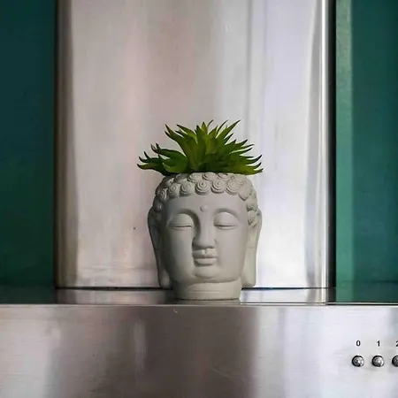 Cosy/parking/jardin Apartment Toulouse